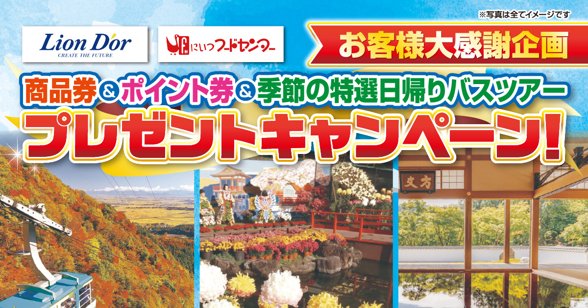 お客様大感謝企画プレゼントキャンペーン　応募して当てよう！商品券やポイント券、旅行など豪華景品が当たる！【キャンペーン期間 ： 2025年9月18日（月）～2025年8月31日（日）】